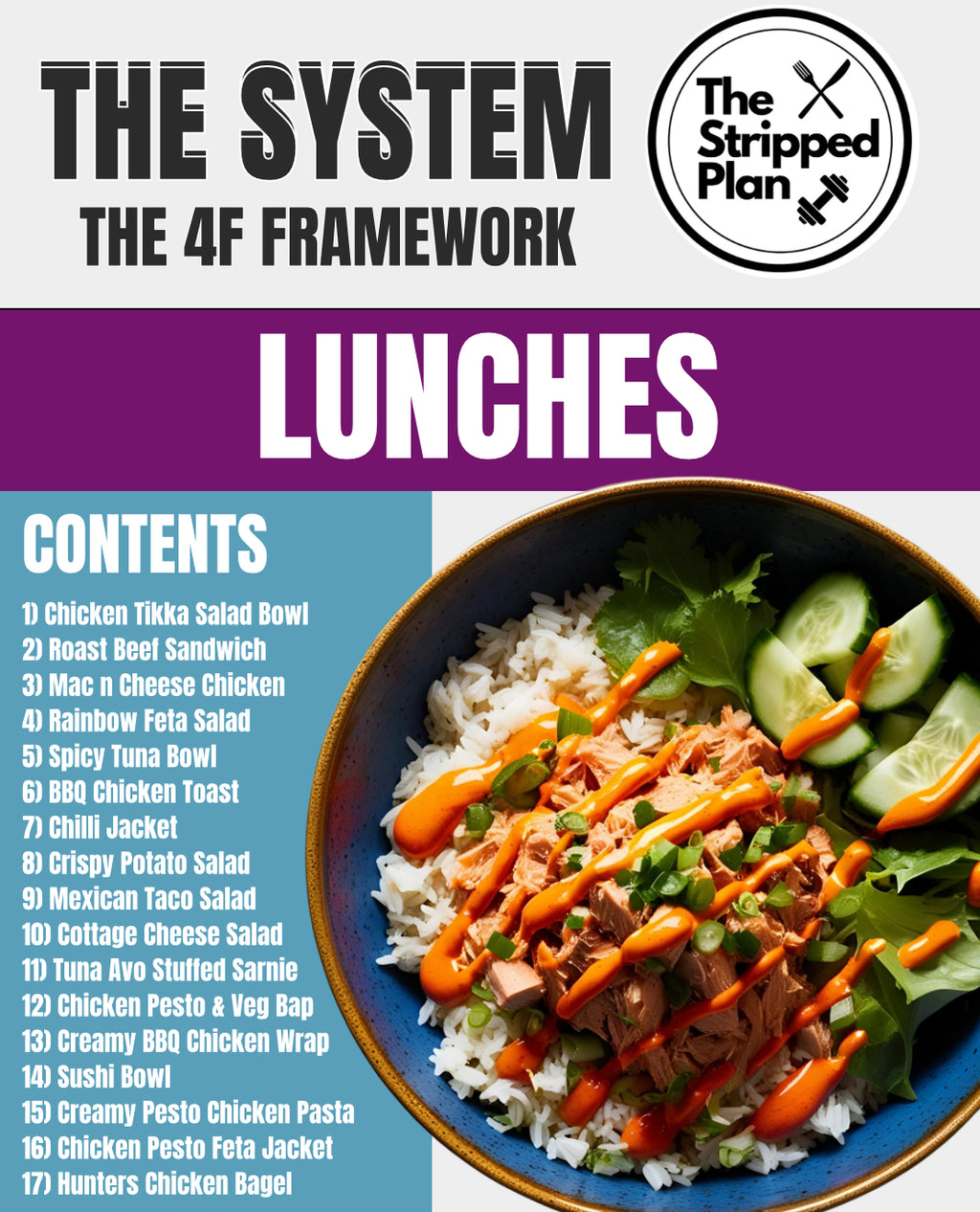 THE SYSTEM (E-Book)