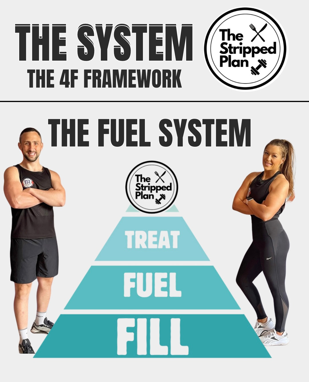 THE SYSTEM (E-Book)