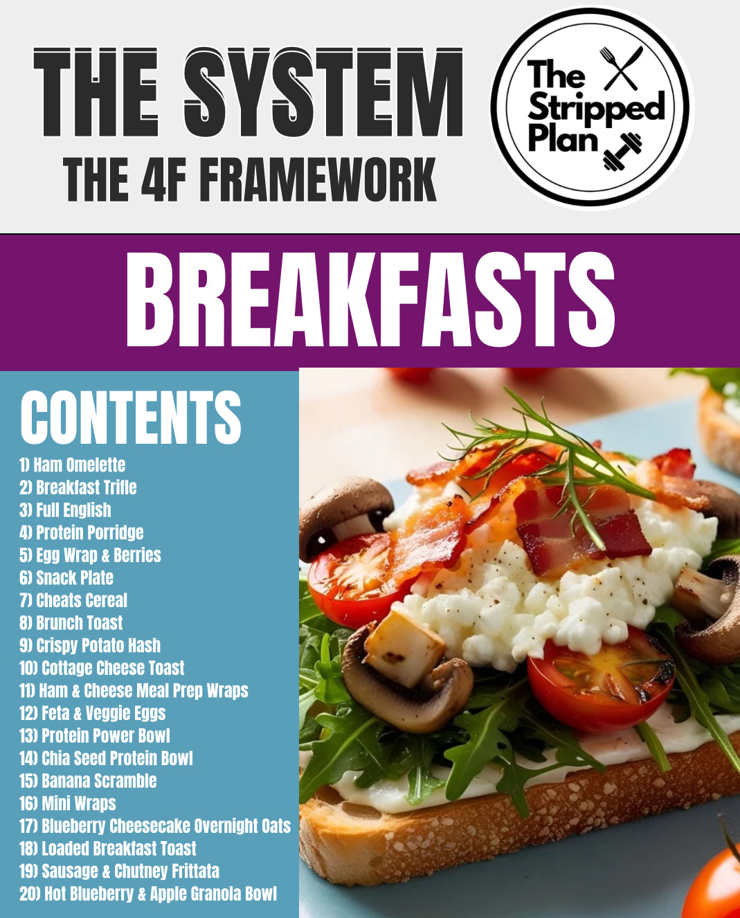 THE SYSTEM (E-Book)